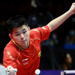 岛海牛新赛 岛海牛新赛